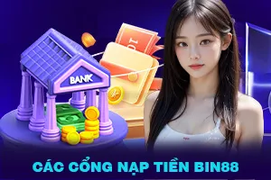 Các cổng nạp tiền Bin88