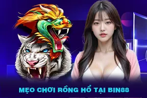 Mẹo chơi Rồng Hổ tại Bin88